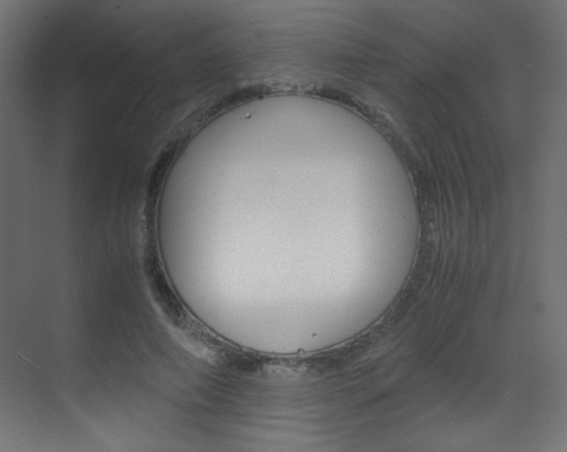 X0000070170690200605261005