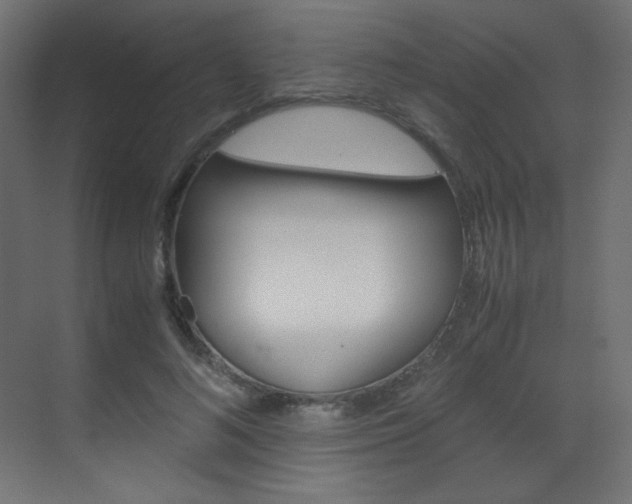 X0000070170692200605261005