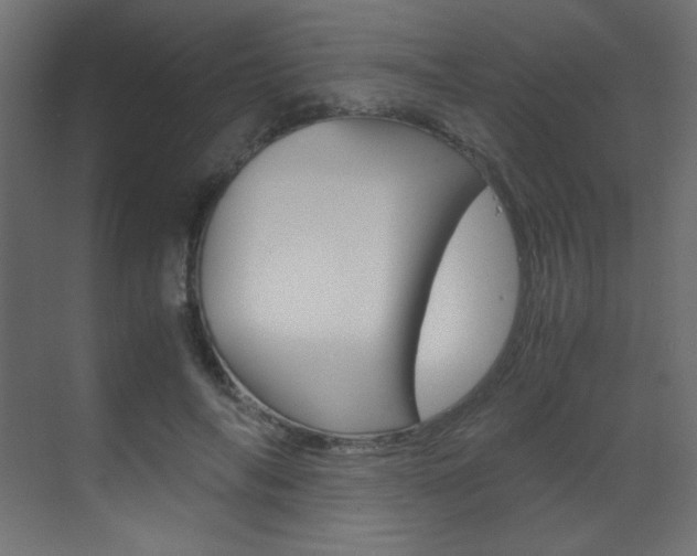X0000070170694200605261005