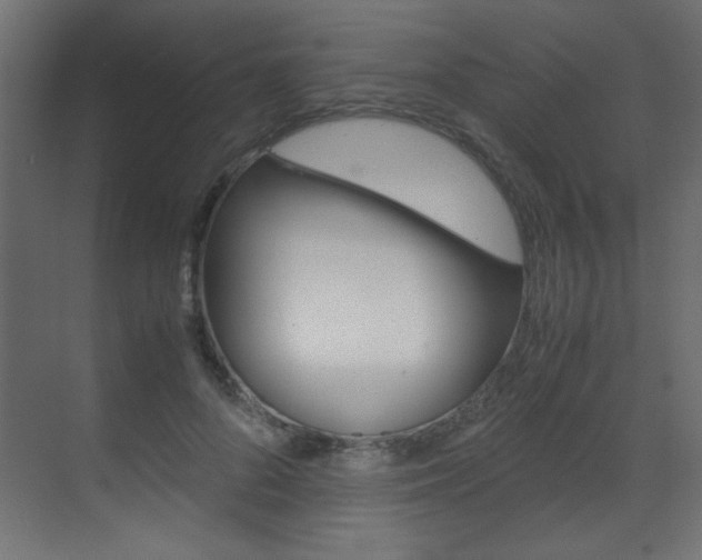 X0000070170696200605261005