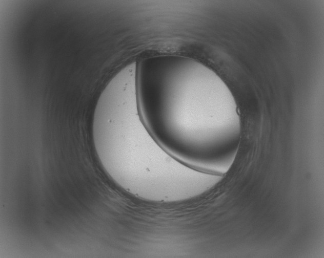X0000070170697200605261005