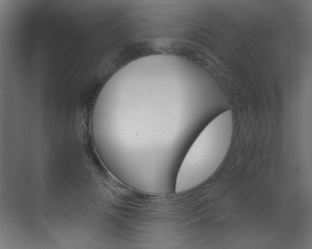 X0000070170702200605261005
