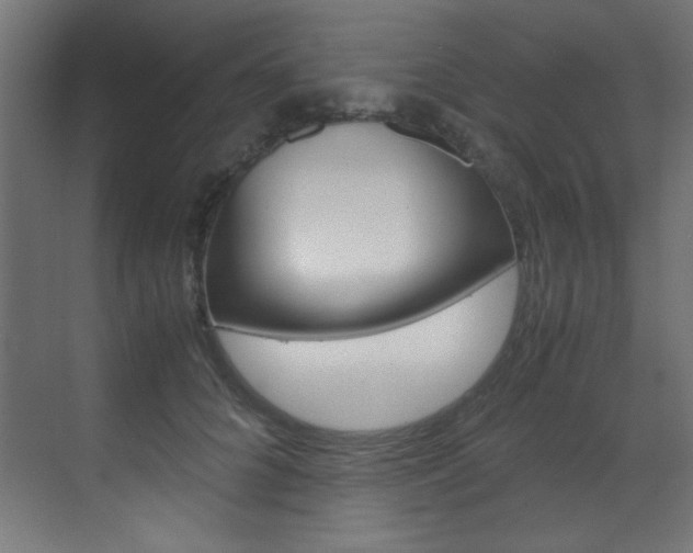 X0000070170704200605261005