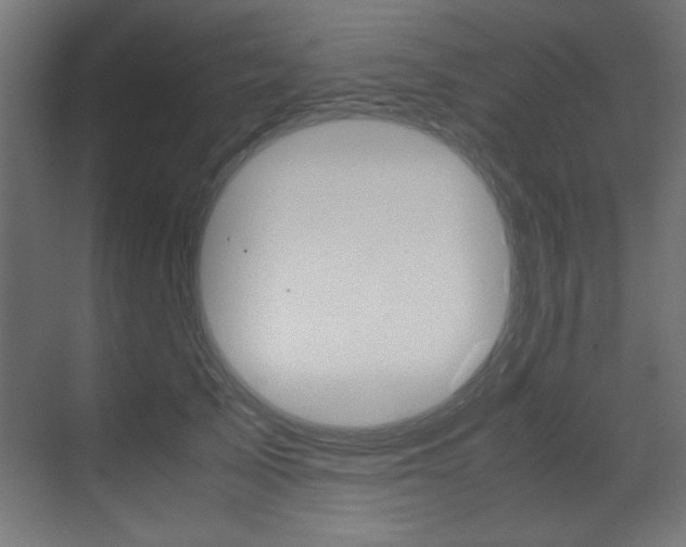 X0000070170705200605261005