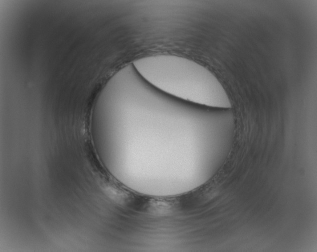 X0000070170706200605261005