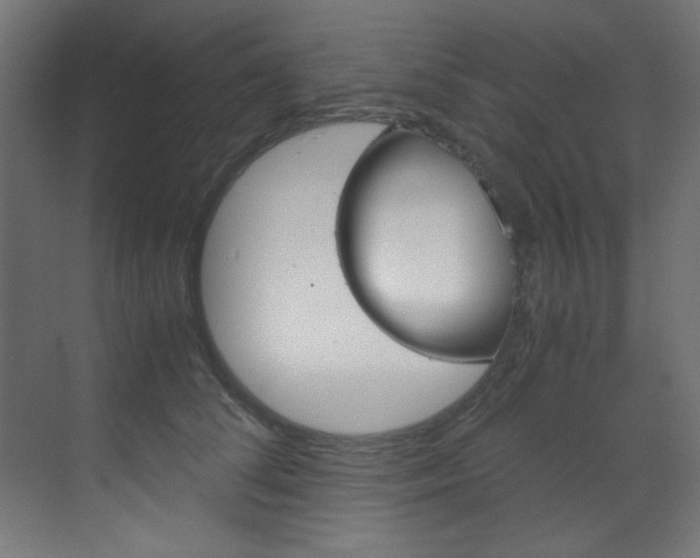 X0000070170708200605261005