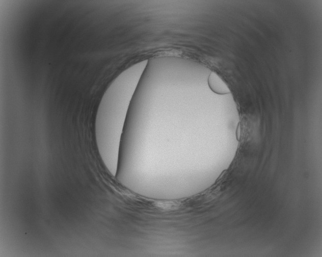 X0000070170713200605261004