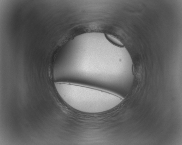 X0000070170715200605261004
