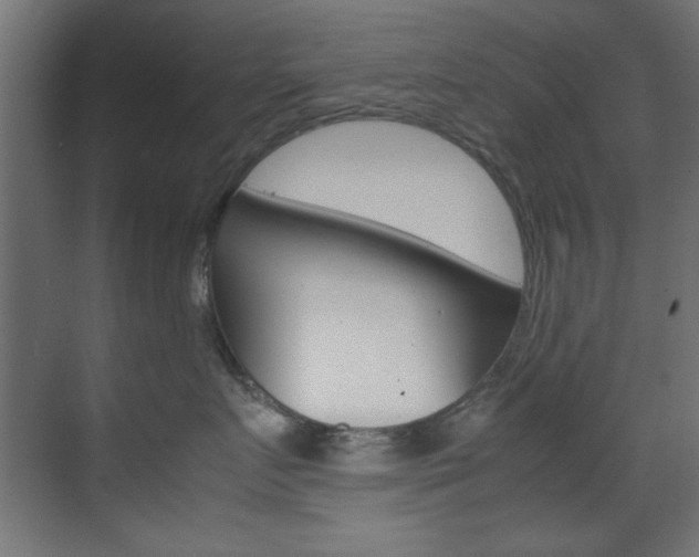 X0000070170719200605261004