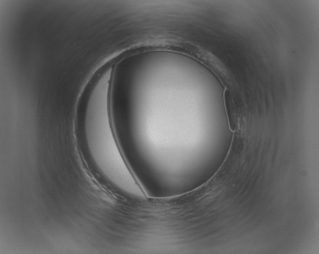 X0000070170724200605261004