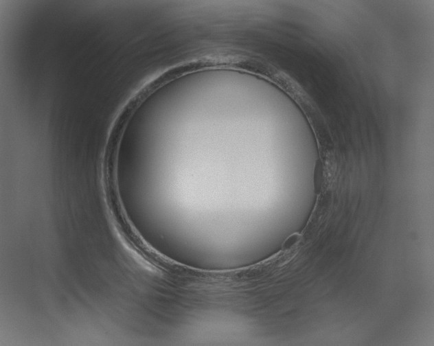 X0000070170726200605261004