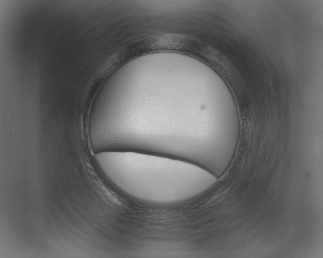 X0000070170729200605261004