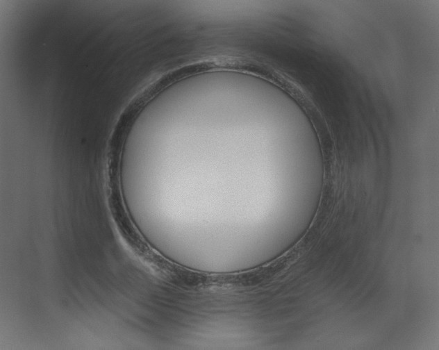 X0000070170730200605261004