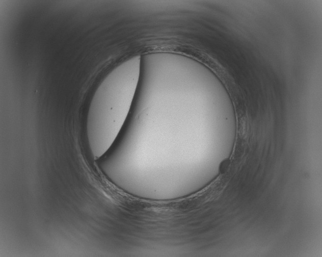 X0000070170733200605261004
