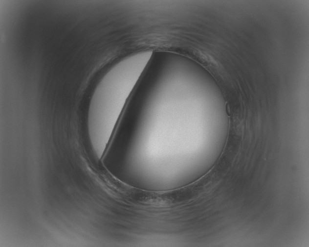 X0000070170735200605261004