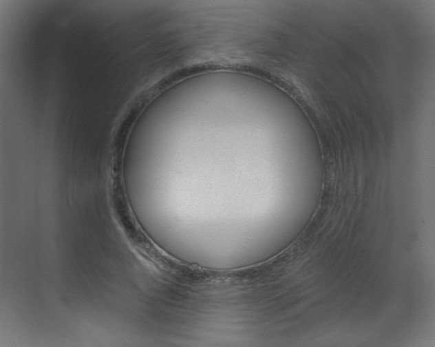 X0000070170736200605261004