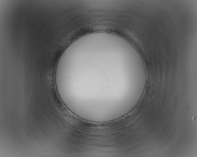 X0000070170737200605261004