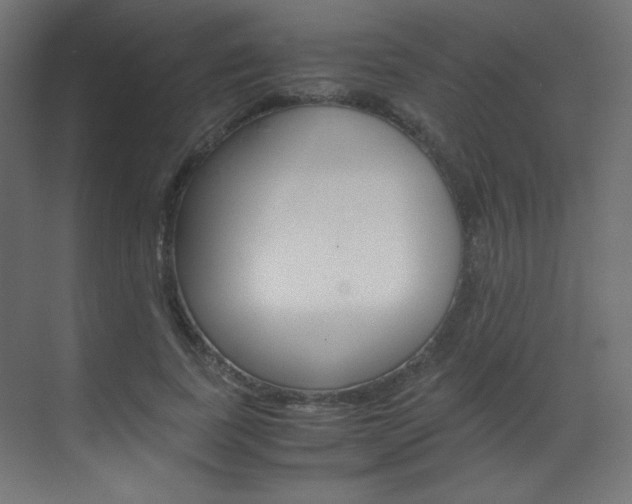X0000070170739200605261004