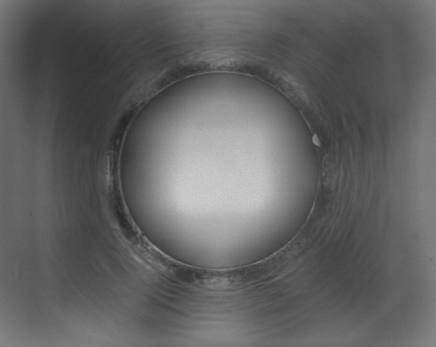 X0000070170740200605261004