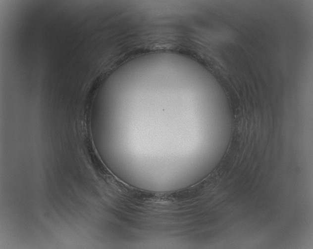 X0000070170743200605261004
