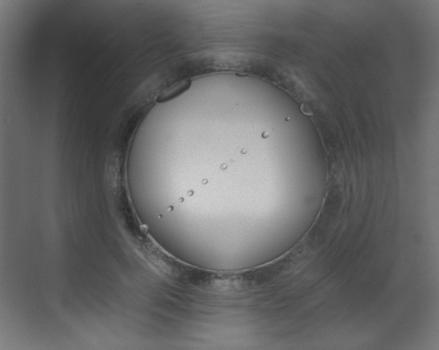 X0000070170744200605261004