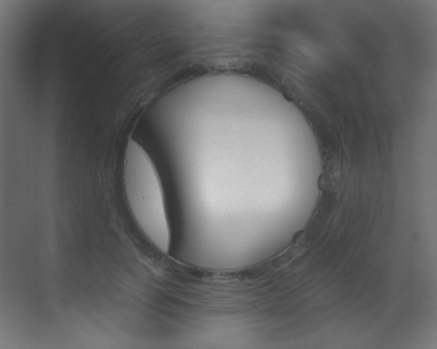X0000070170746200605261004