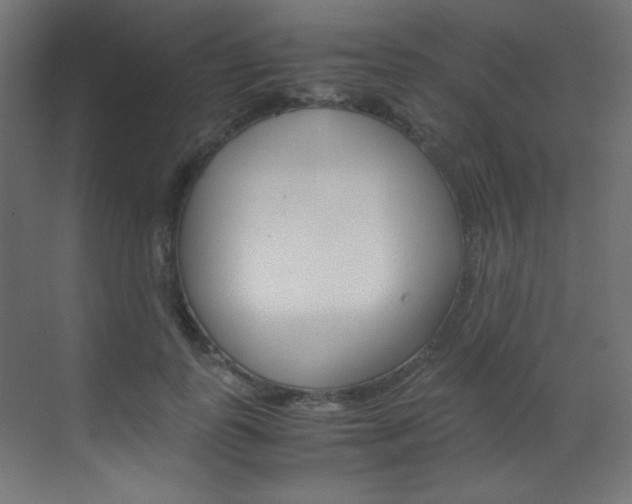 X0000070170747200605261004