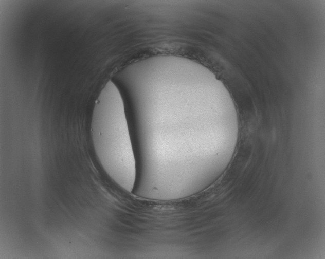 X0000070170749200605261004
