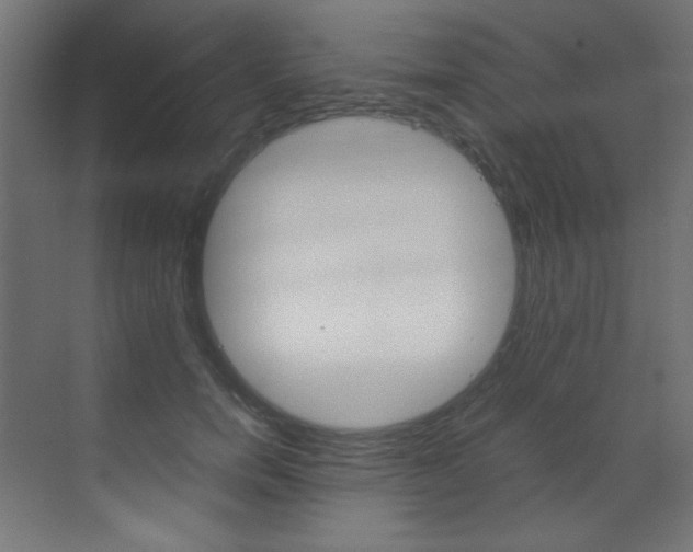 X0000070170750200605261004