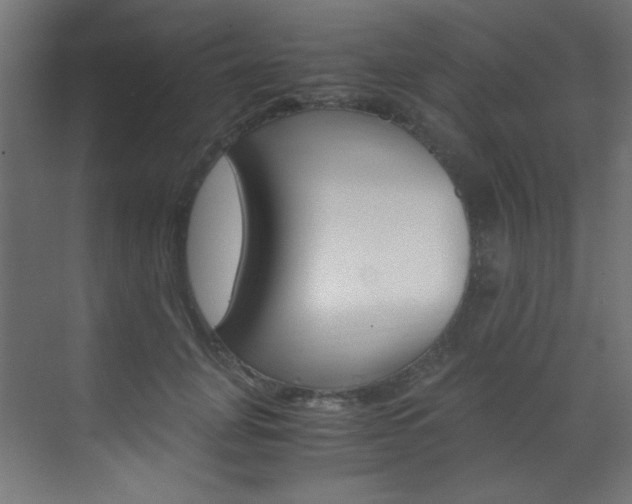 X0000070170751200605261004