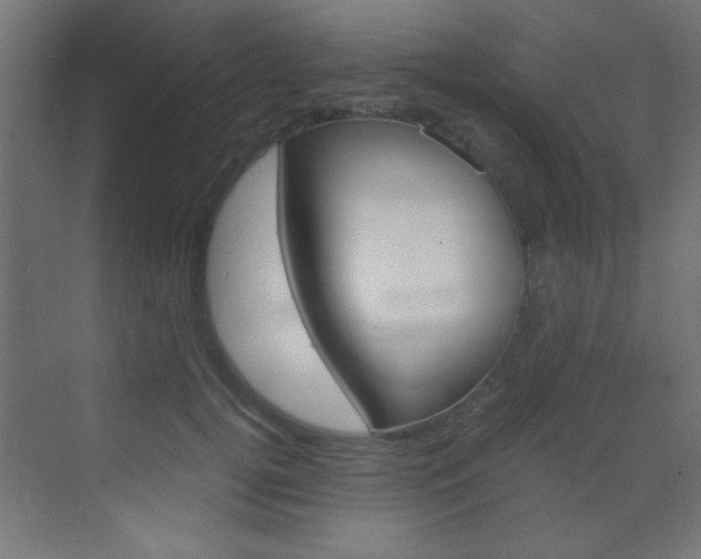 X0000070170752200605261004