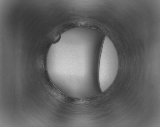 X0000070170754200605261004