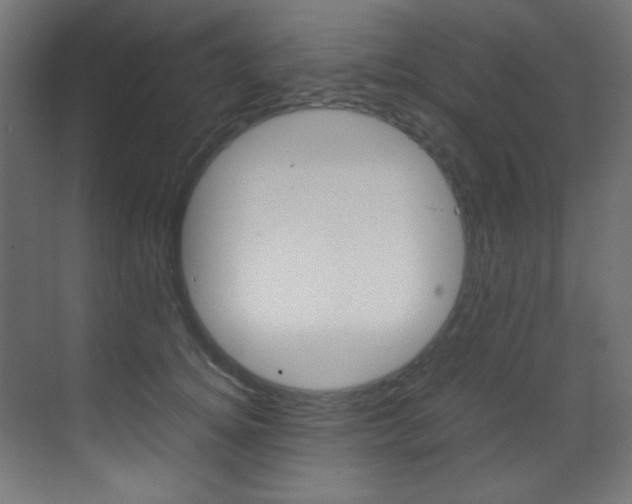 X0000070170756200605261004