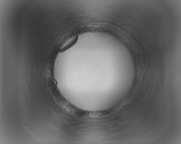 X0000070170758200605261004