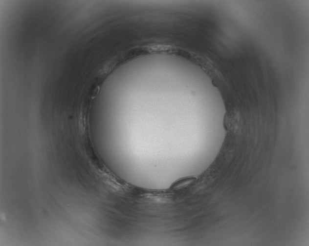 X0000070170763200605261004