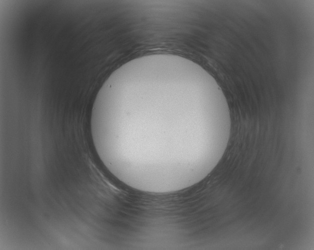 X0000070170764200605261004