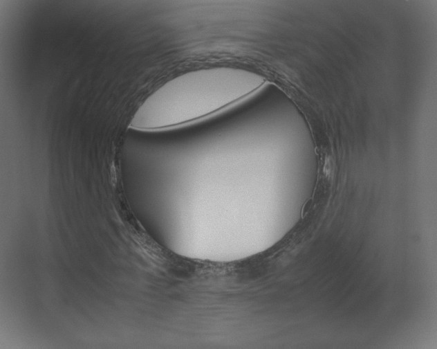 X0000070170771200605261003