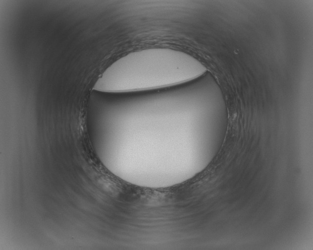 X0000070170772200605261003