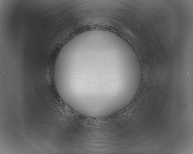 X0000070170774200605261003