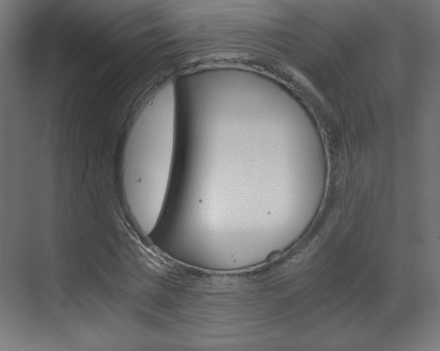 X0000070170777200605261003