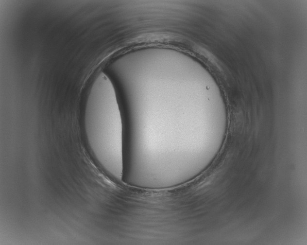 X0000070170778200605261003