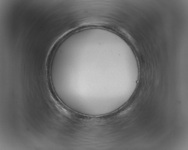X0000070170779200605261003