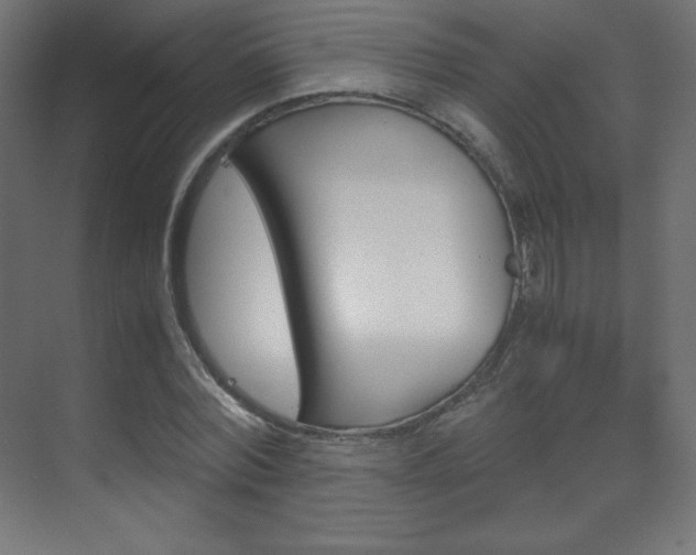 X0000070170780200605261003