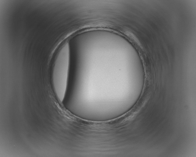 X0000070170781200605261003