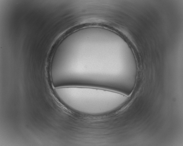X0000070170783200605261003
