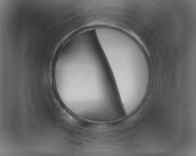 X0000070170791200605261003
