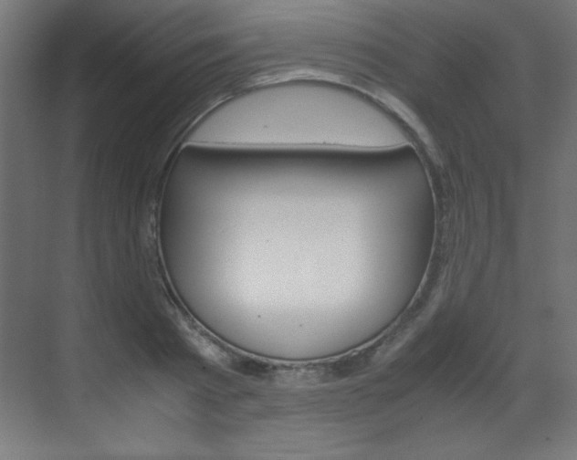 X0000070170793200605261003
