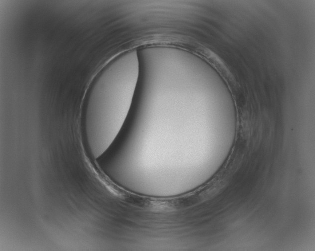 X0000070170794200605261003