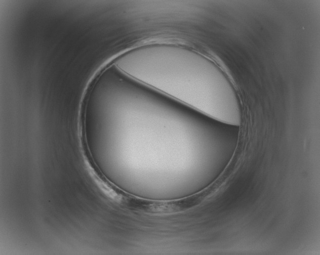 X0000070170795200605261003
