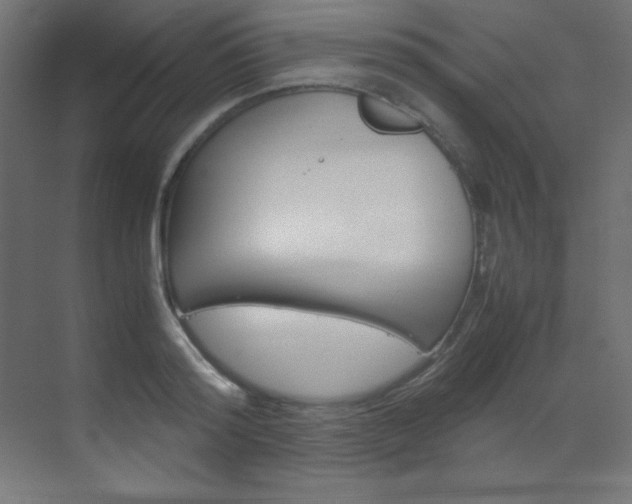 X0000070170796200605261003